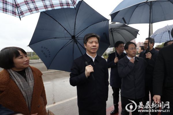 李荐国首先来到涟钢大桥东端，对附近的违章建筑和防洪堤下方的滩头菜地进行实地察看