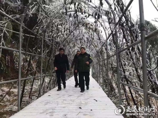 微信图片_20181213095651