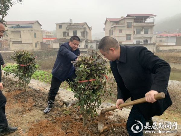 杏子铺党委书记、镇长植树现场1