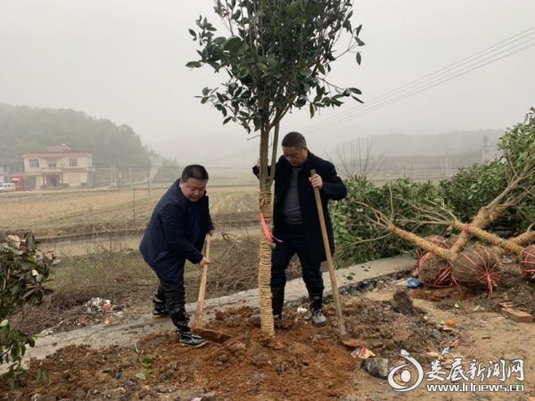 杏子铺镇党委书记、镇长植树现场2