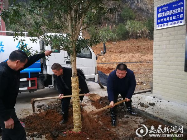 杏子铺镇党委书记、镇长植树现场4