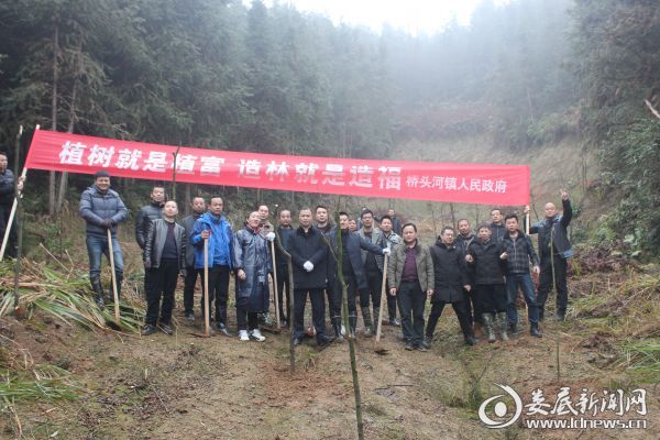 桥头河镇开展干部义务植树活动 (2)