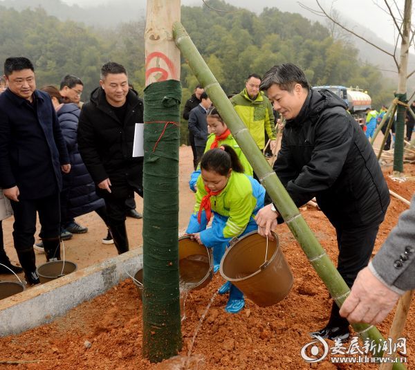 微信图片_20190213000005