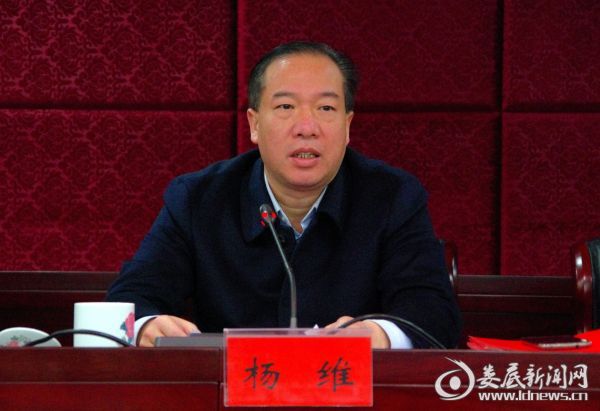 （市发改委党组书记、主任杨维讲话）