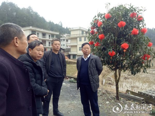 察看紫鹊界互通20190302172254