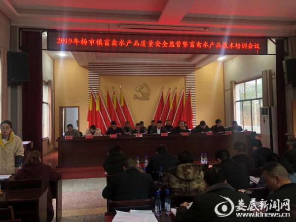 图片7