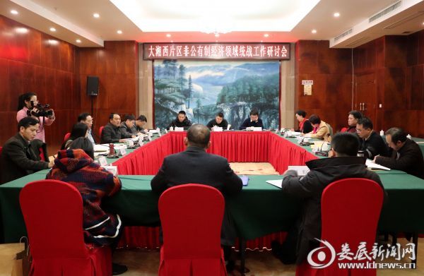 2019年公有制经济_...新时代江西省非公有制经济五年发展规划 2019 2023年 的通知