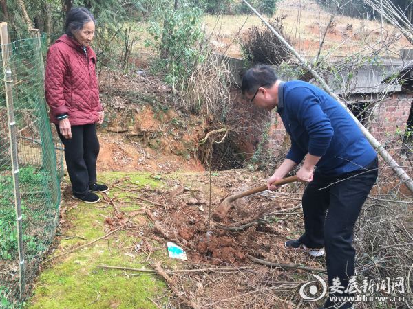 娄底四中:党日活动添新意 种植果树助脱贫