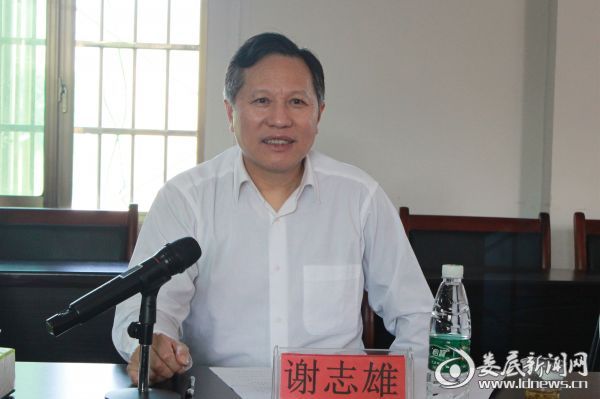 （座谈会上，谢志雄同与会人员认真交谈）
