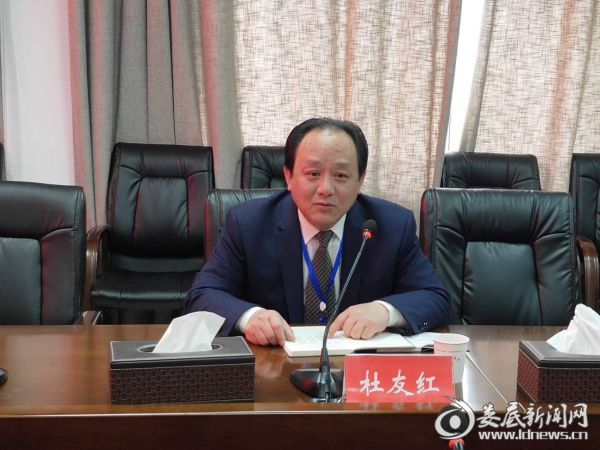 党委委员、副院长杜友红主持会议