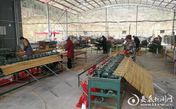 骥龙竹木加工厂生产照片 1