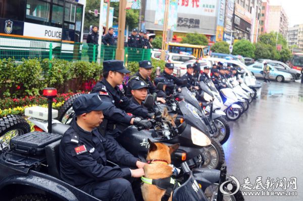 巡逻车队