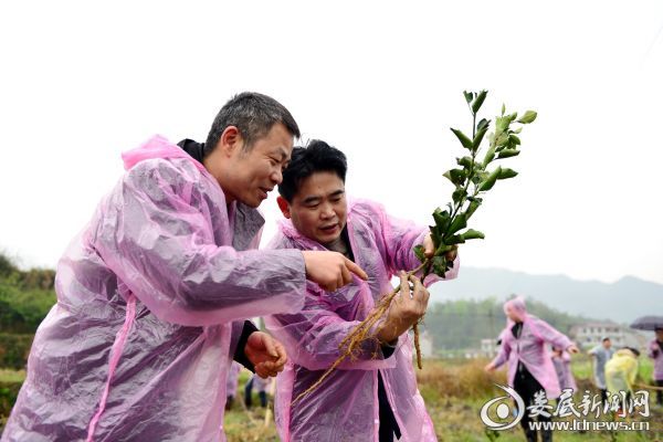 （活动现场）