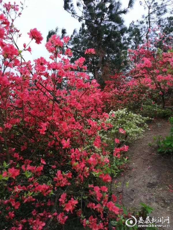 微信图片_20190410083330