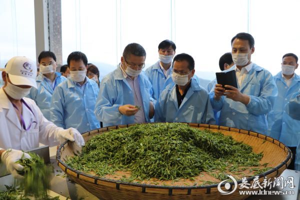 微信图片_20190411213944