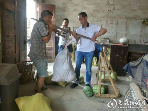 图片1