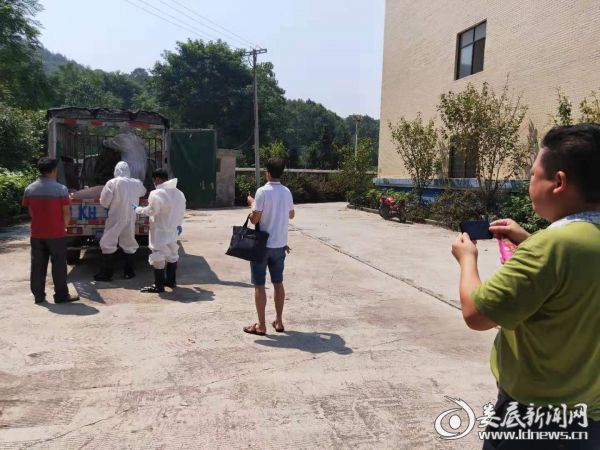 (专业技术人员对截获生猪进行检疫检测)