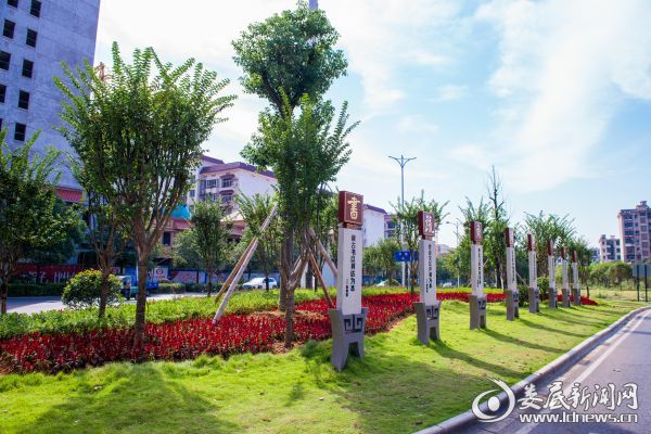 街头栽花1