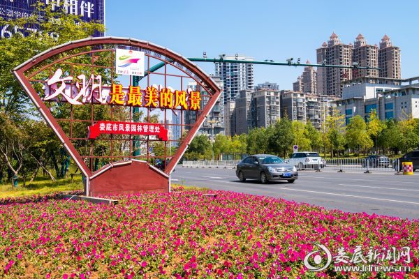 建设路口街头栽花