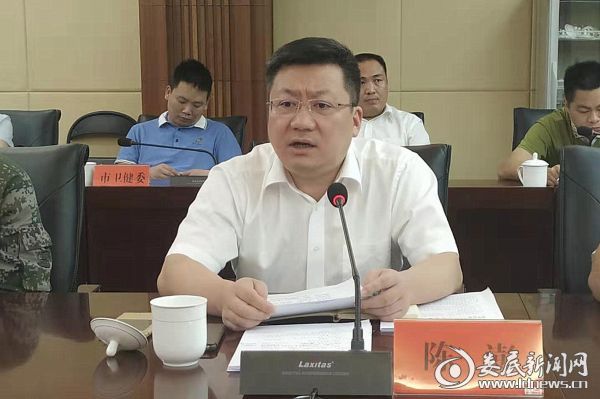 （副市长陈澎讲话）