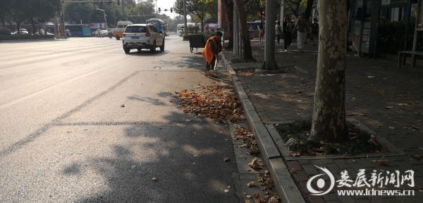 杨良轩清扫长青街区政府段主干道的落叶