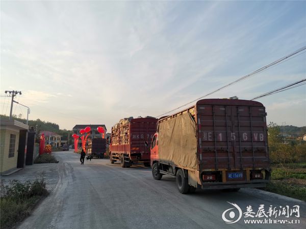 查扣物品整整装满4大车_副本1