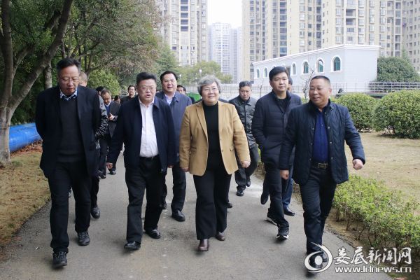 _MG_1230_wps图片