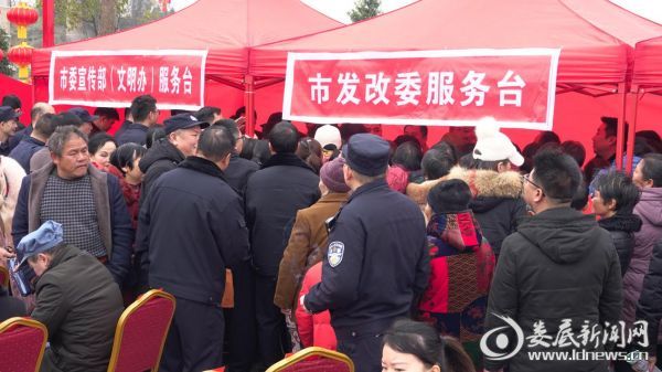 图片4