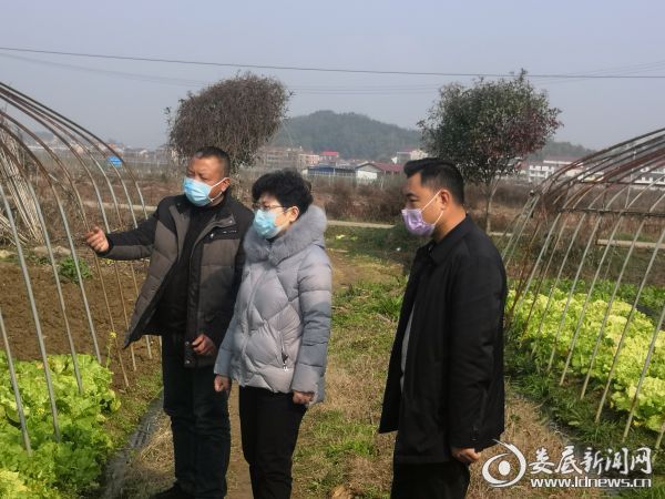 微信图片_20200204155341