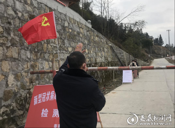 （奉家镇检测点辅警志愿者拦车背影）