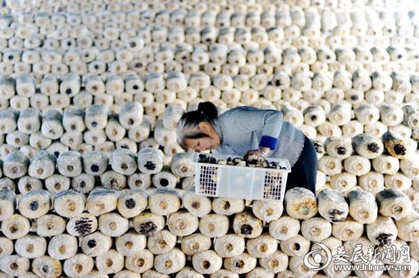 mmexport1583930474906