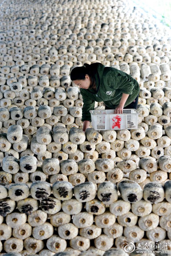 mmexport1583930478150