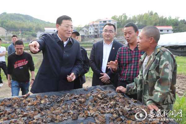 微信图片_20200326234001