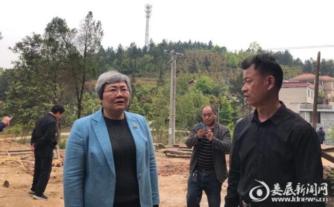 （4月8日下午，市人大常委会党组书记、副主任、一级巡视员石艳萍到娄星区和娄底经开区督战脱贫攻坚工作）