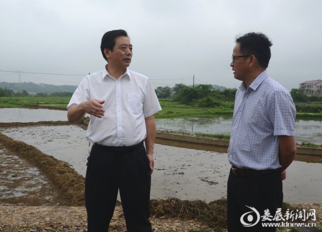 吴建平来到杉山镇杉山村退耕还林试点工程项目工地，围绕退耕还湿、荷花种养殖等工作开展调研