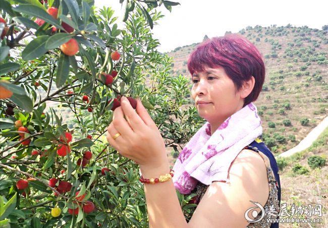 微信图片_20200608095645