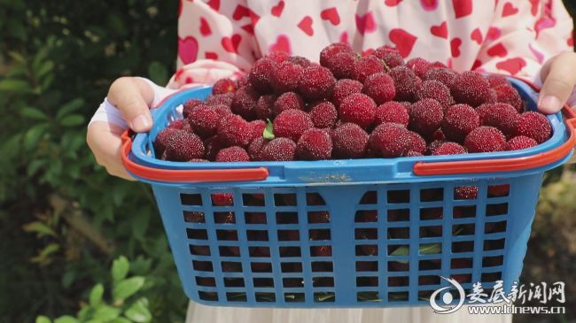 暴风截图2020681175343234