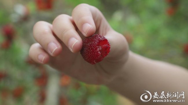 暴风截图2020681175280968