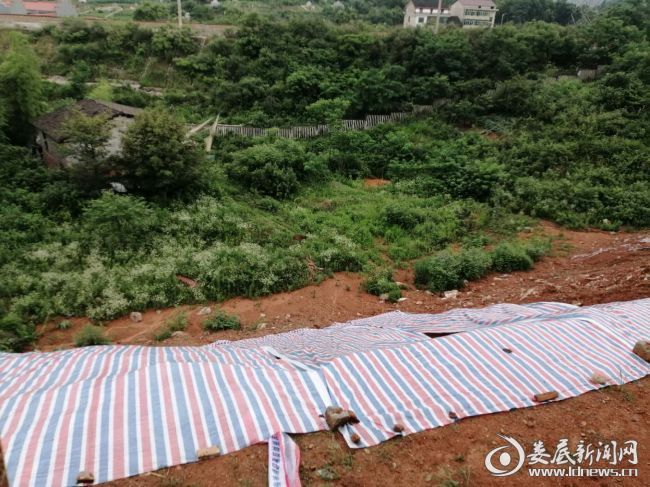 （图为特种门项目边坡覆盖，防止塌方及水土流失）