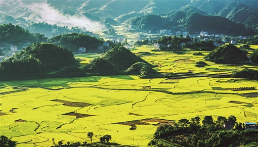 揭示新作为 彰显新继续 谱写新篇章