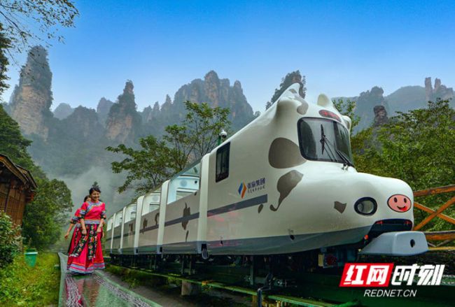 微信图片_20201014162758