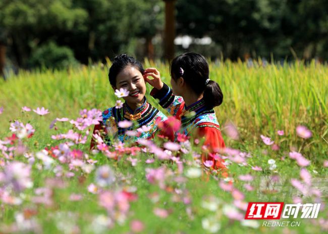 微信图片_20201014163932