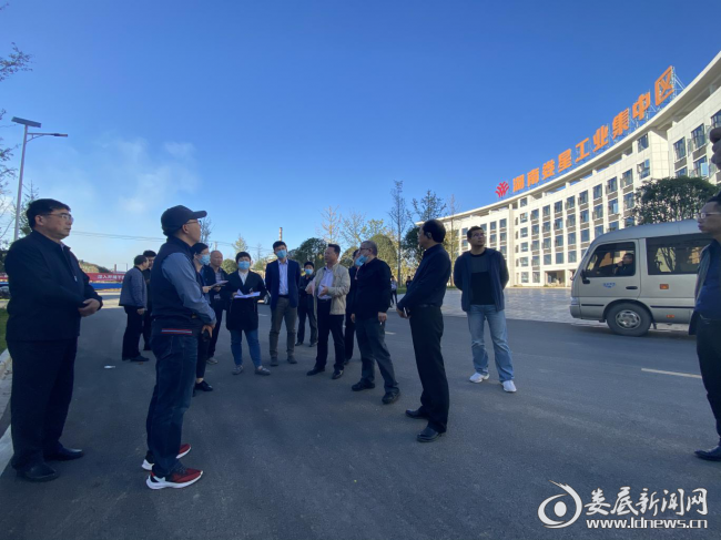 （图为调研组一行查看骡子坳老工业区彩色水泥厂老旧厂房改造项目）