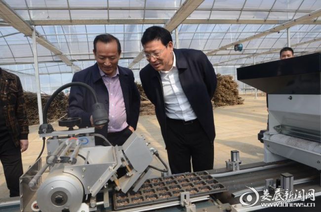 （华学健在桥头河蔬菜基地调研）