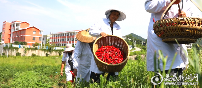 微信图片_20201208162839