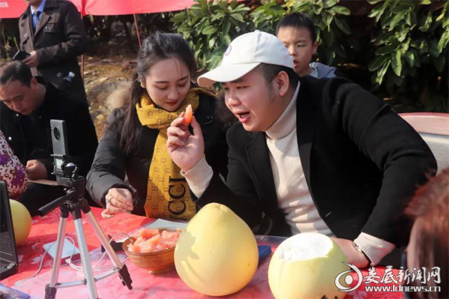 （娄星工业集中区娄星移动互联网产业园组织直播团队、爱心企业来到谢国贤家的柚子基地，开展助农直播）