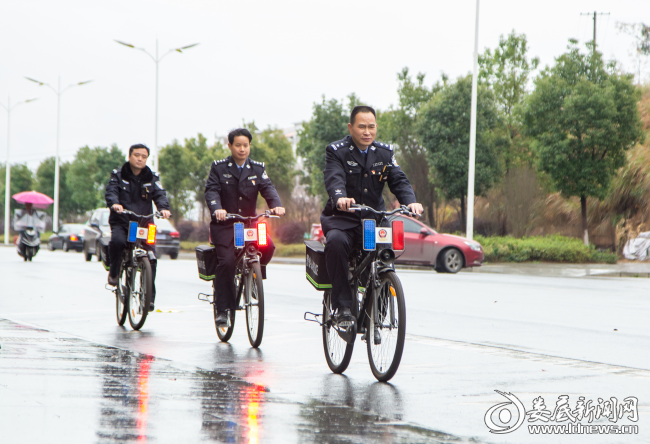 图片4