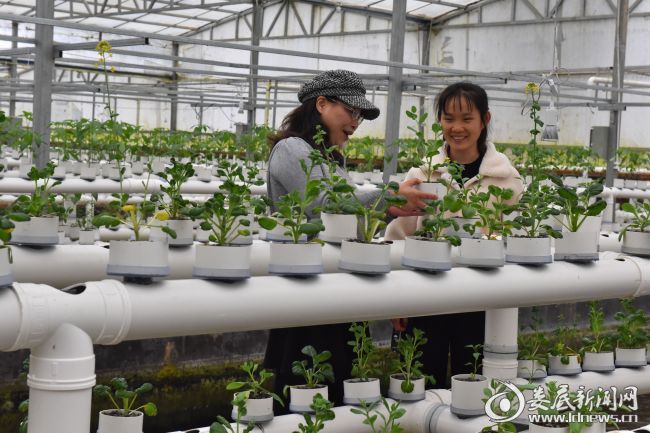赵芝红女士在和员工探讨养殖方法和技术
