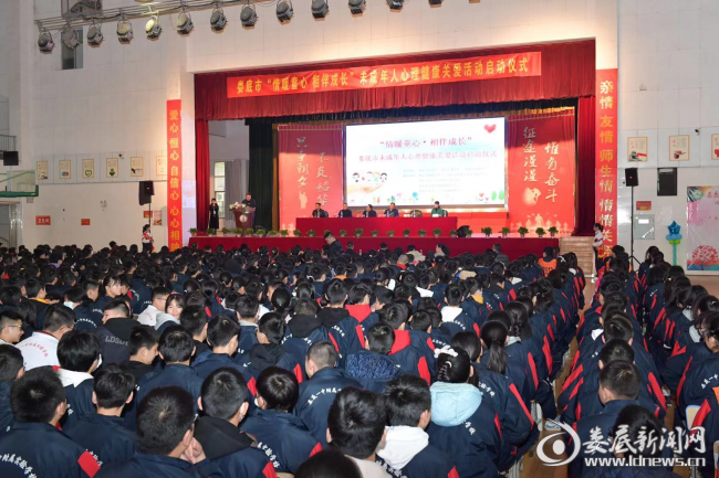 图片4