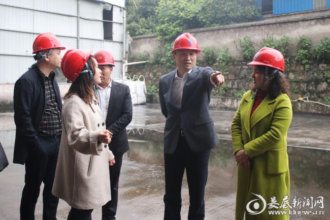 （在至科铸造、高安环保、华宏科技等工业企业，每到一处，邓伟谋都认真查看企业问题整改情况，并详细听取了企业负责人的情况汇报，就现场发现的问题进行现场交办。图为督察组在至科铸造）